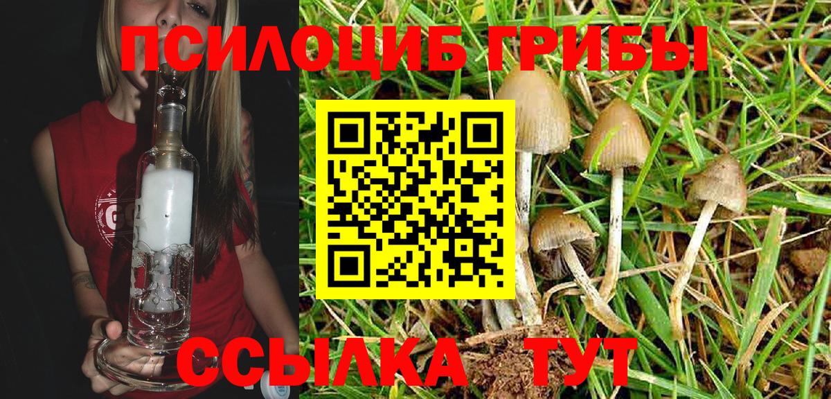 купить  сайты  Псилоцибиновые грибы Magic Shrooms  Вход с VPN  Лянтор 